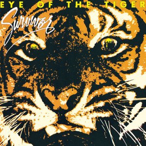 Auge des Tigers