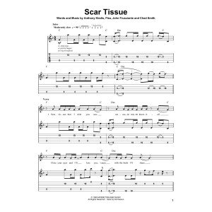 Scar Tissue