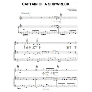 Captain Of A Shipwreck