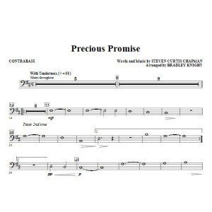 Precious Promise - Contrabass