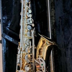 Saxophone alto Blessing Artist