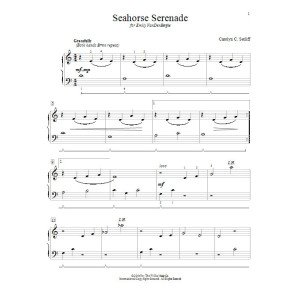 Seahorse Serenade