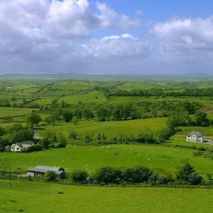 The Fields Of Athenry