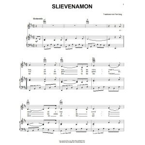 Slievenamon