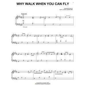 Why Walk When You Can Fly