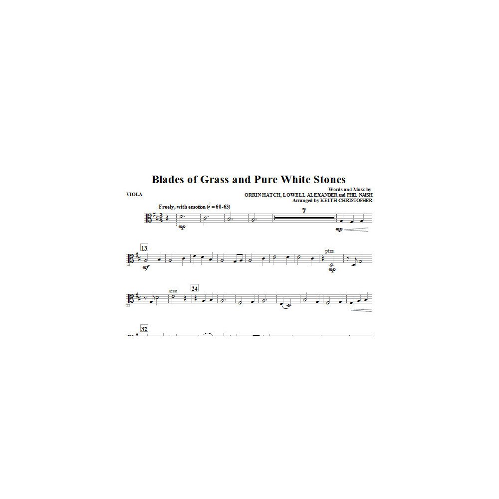 Blades Of Grass And Pure White Stones - Viola