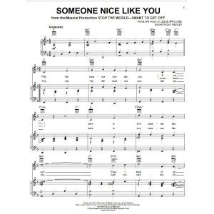 Someone Nice Like You