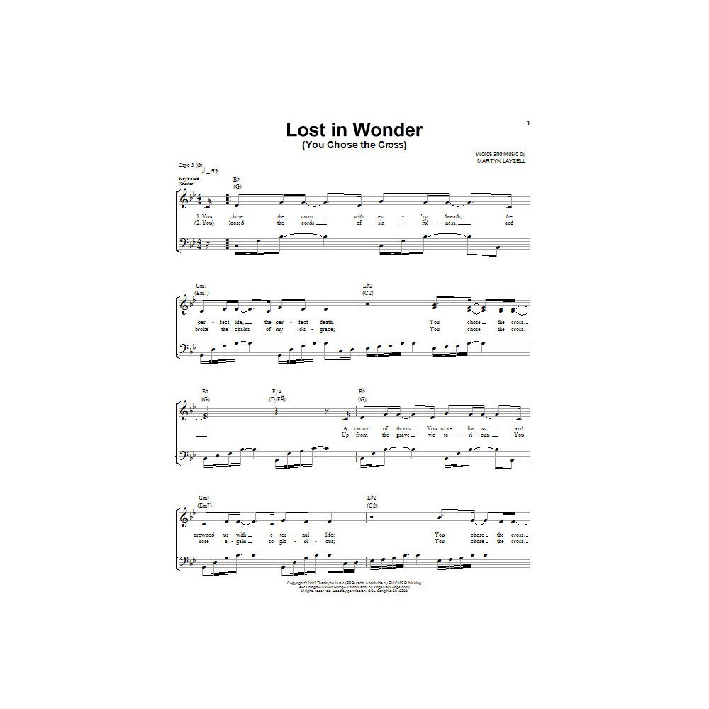 Lost In Wonder