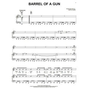Barrel Of A Gun