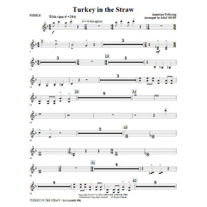 Turkey In The Straw - Fiddle