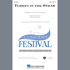 Turkey In The Straw - Fiddle