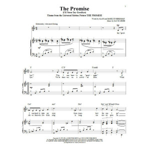 The Promise (I'll Never Say Goodbye)