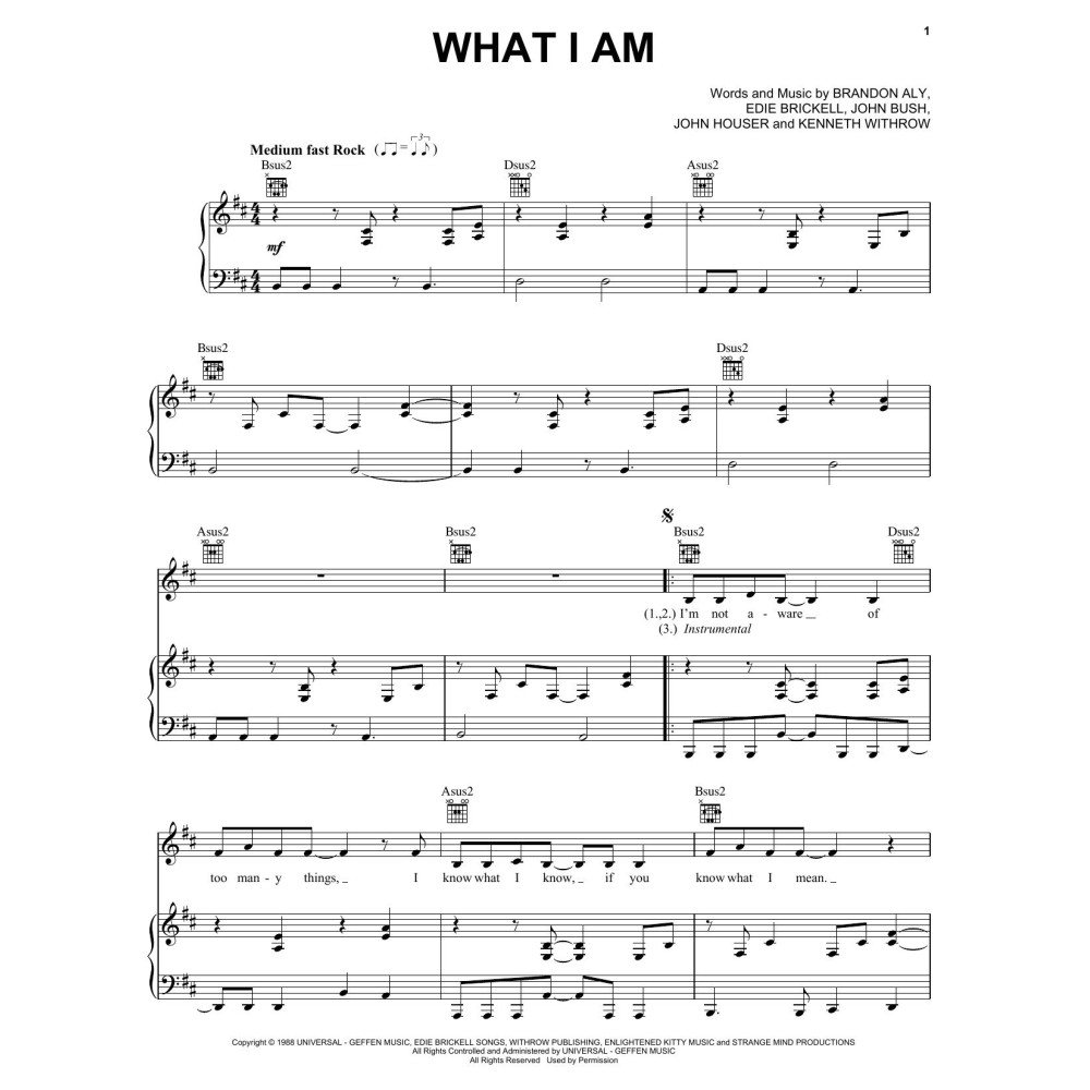 What I Am