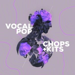 Vocal Pop - Expansion pour Loopmix