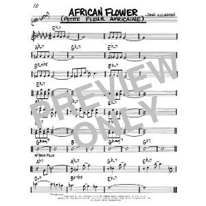 African Flower (Petite Fleur Africaine)