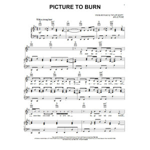 Picture To Burn