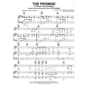 The Promise (I'll Never Say Goodbye)