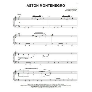 Aston Montenegro