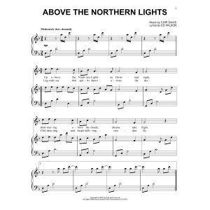 Above The Northern Lights