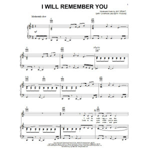 I Will Remember You