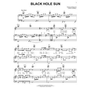 Black Hole Sun