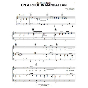 (Kastelle in Spanien) Auf einem Dach in Manhattan