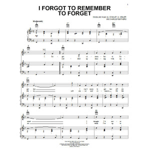 I Forgot To Remember To Forget