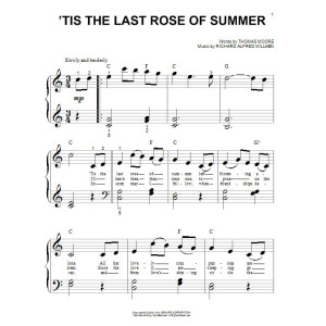 Es ist die letzte Rose des Sommers