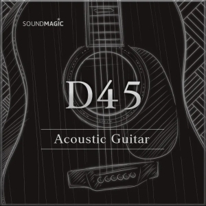 Acoustic Guitar D45