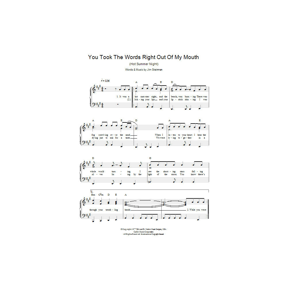 You Took The Words Right Out Of My Mouth (Hot Summer Night)