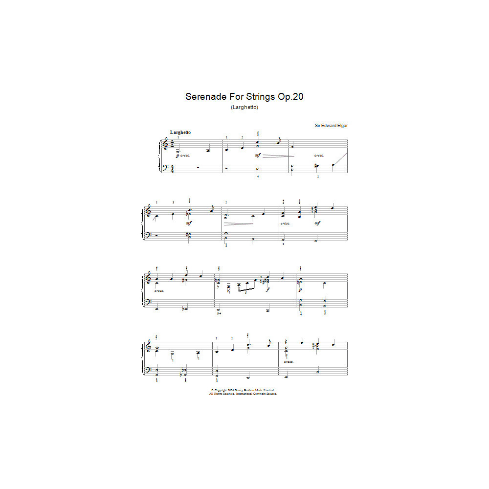Serenade For Strings Op.20 (Larghetto)