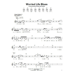 Worried Life Blues