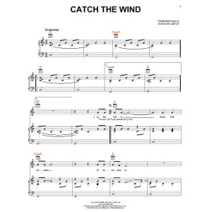Catch The Wind