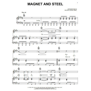 Magnet And Steel
