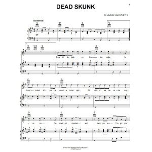 Dead Skunk