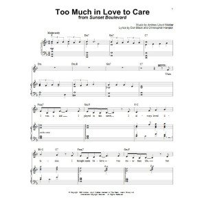 Too Much In Love To Care