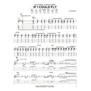 If I Could Fly