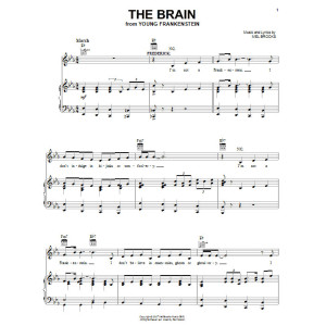 The Brain