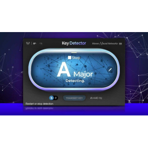 Waves Audio Key Detector