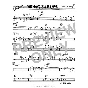 Bright Size Life
