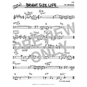 Bright Size Life