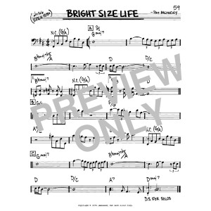 Bright Size Life