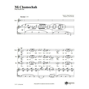 Mein Chamocha