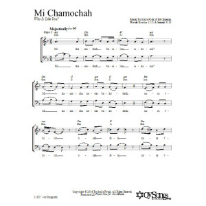 Mein Chamochah