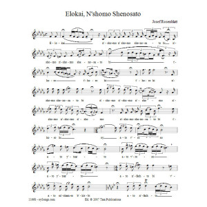Elokai N''shomo Shenosato