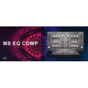 Internet Co. MS EQ Comp - PC