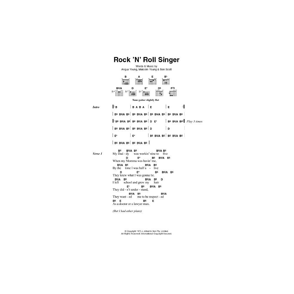 Rock 'N' Roll Singer