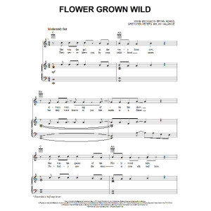 Blumen, wild gezogen