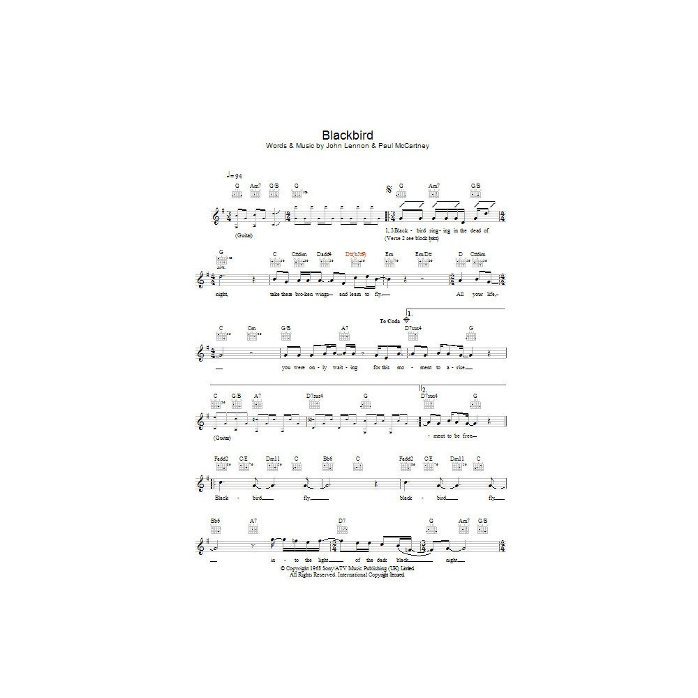 Blackbird
