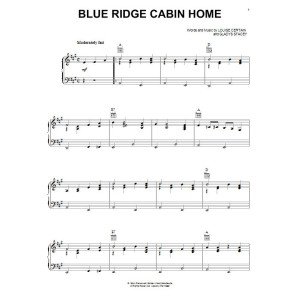 Blue Ridge Cabin Home